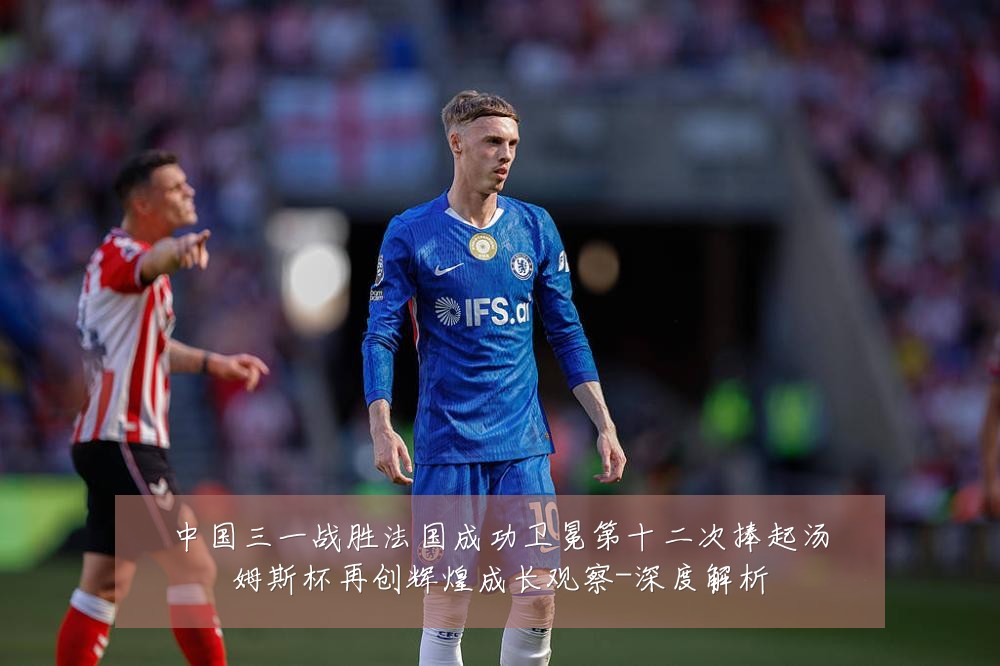 中国三一战胜法国成功卫冕第十二次捧起汤姆斯杯再创辉煌成长观察-深度解析